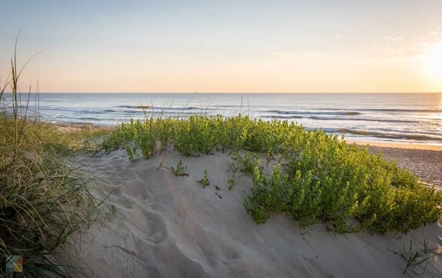 Nags Head beach, Outer Banks, North Carolina